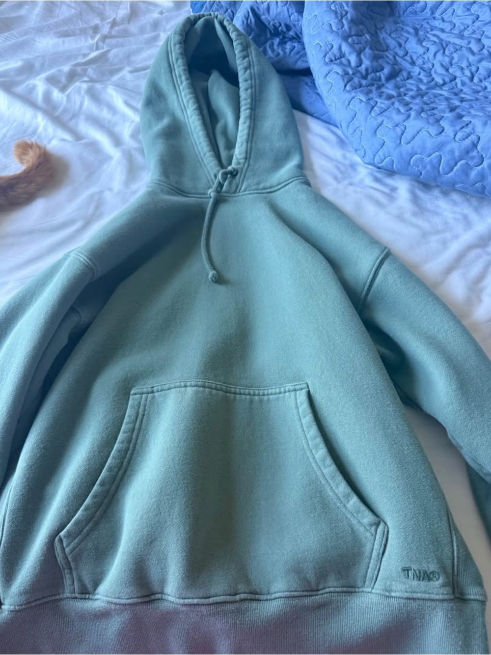 Aritzia Oversized Teal Hoodie - Light Teal